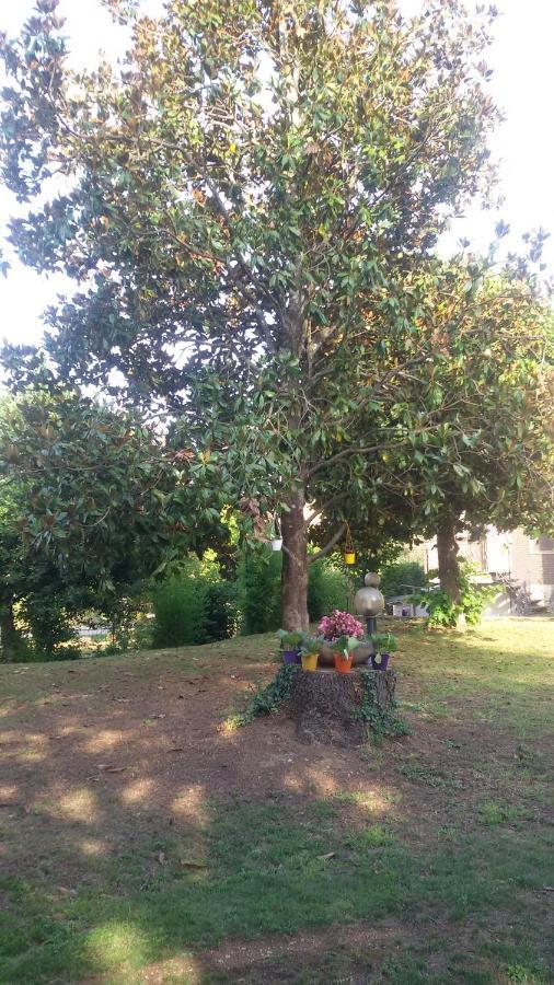 Contigliano Hotel Le Vigne מראה חיצוני תמונה